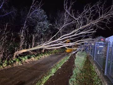 V ŽIVO



                    Rdeče opozorilo še vedno v veljavi, sunki vetra presegli tudi 150 kilometrov na uro