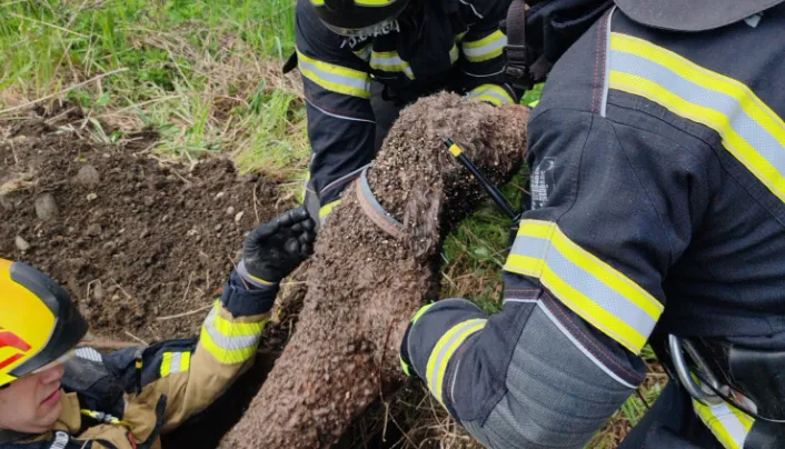 "Čudež v Zagrebu": med neurjem iz 8 metrov globokega jaška rešili psa (FOTO)