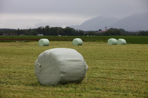 poletje, vreme, jesen