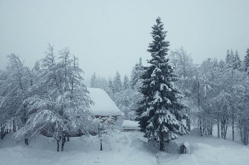 sneg, soriška planina