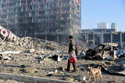 pes v bombardiranem Kijevu