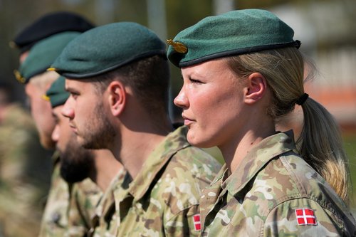 Danska vojska, Nato