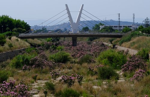 reka cervol, vinaros, suša, španija