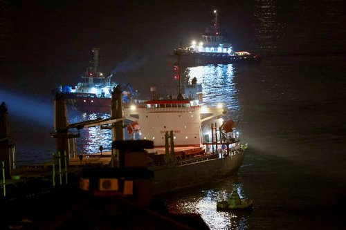 ukrajina, žito, lady zehma