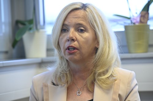 Bobnar, notranja ministrica