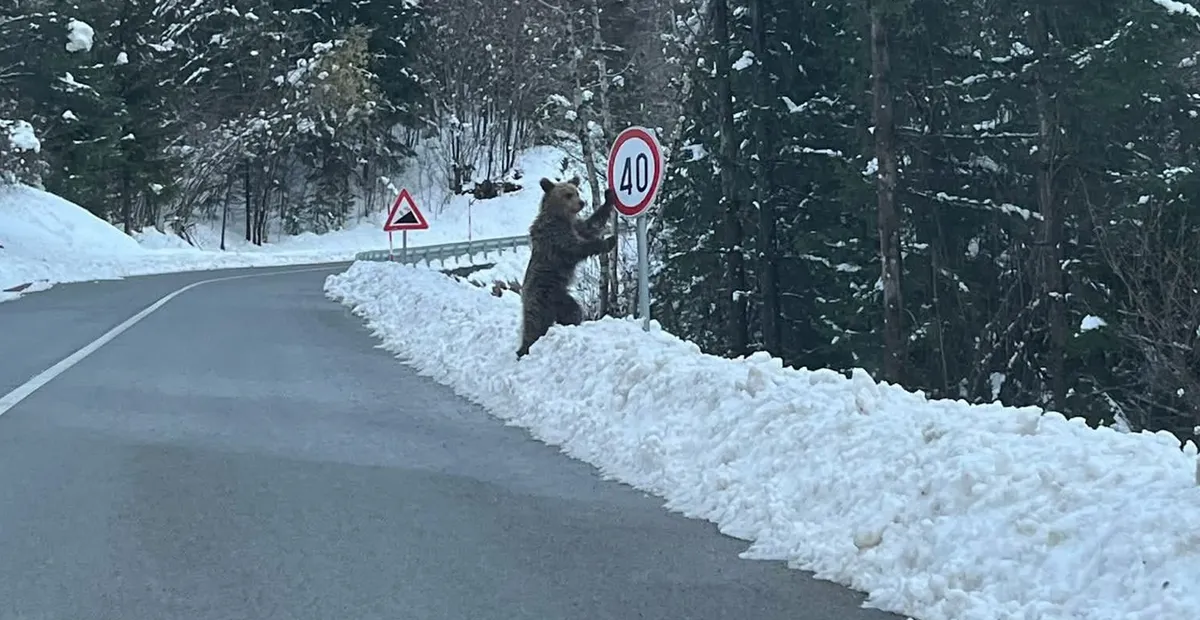 Na Hrvaškem posneli prizor, ki deluje kot delo umetne inteligence (FOTO)