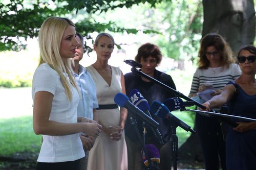 vladni odloki, opozicija