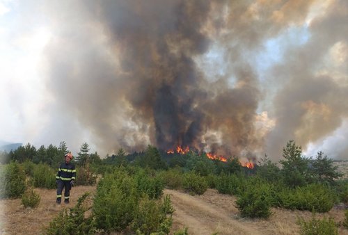 gasilci Severna Makedonija požar