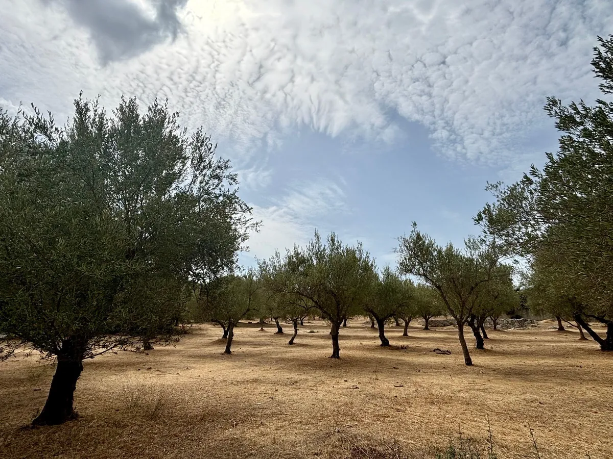 Evropsko javno tožilstvo zahteva odvzem imunitete 11 grškim poslancem