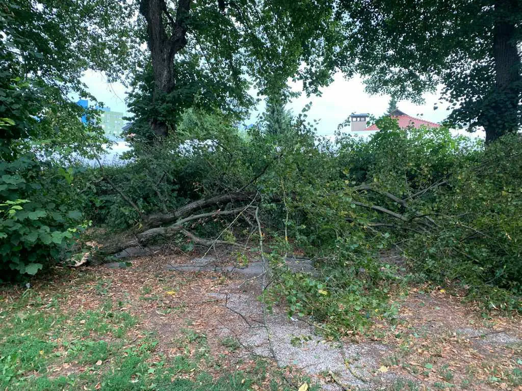 Močan veter na zahodu Slovenije odkrival strehe in podpiral drevesa