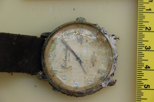 Najdeni posmrtni ostanki