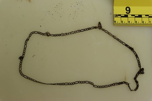 Najdeni posmrtni ostanki