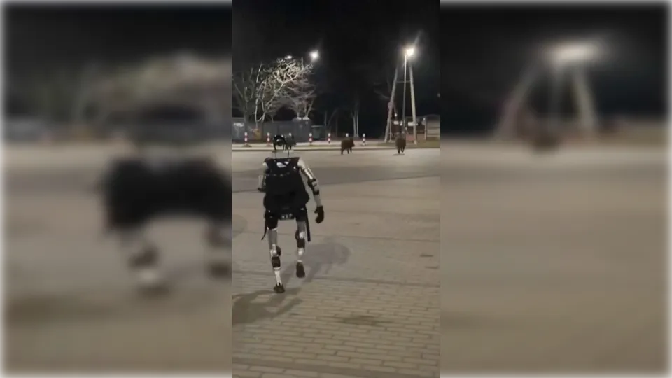 Na Poljskem ujeli neverjeten prizor, ki deluje kot delo umetne inteligence, a je resničen (VIDEO)