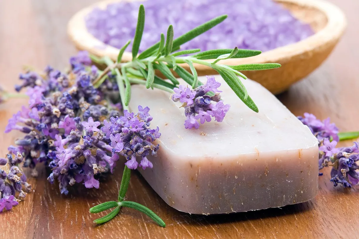 Zakaj bi morali zraven postelje postaviti milo?