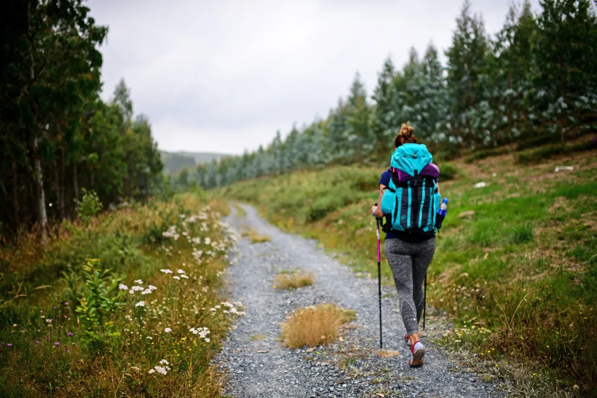 Kaj se dogaja z vašim telesom, če ne hodite redno