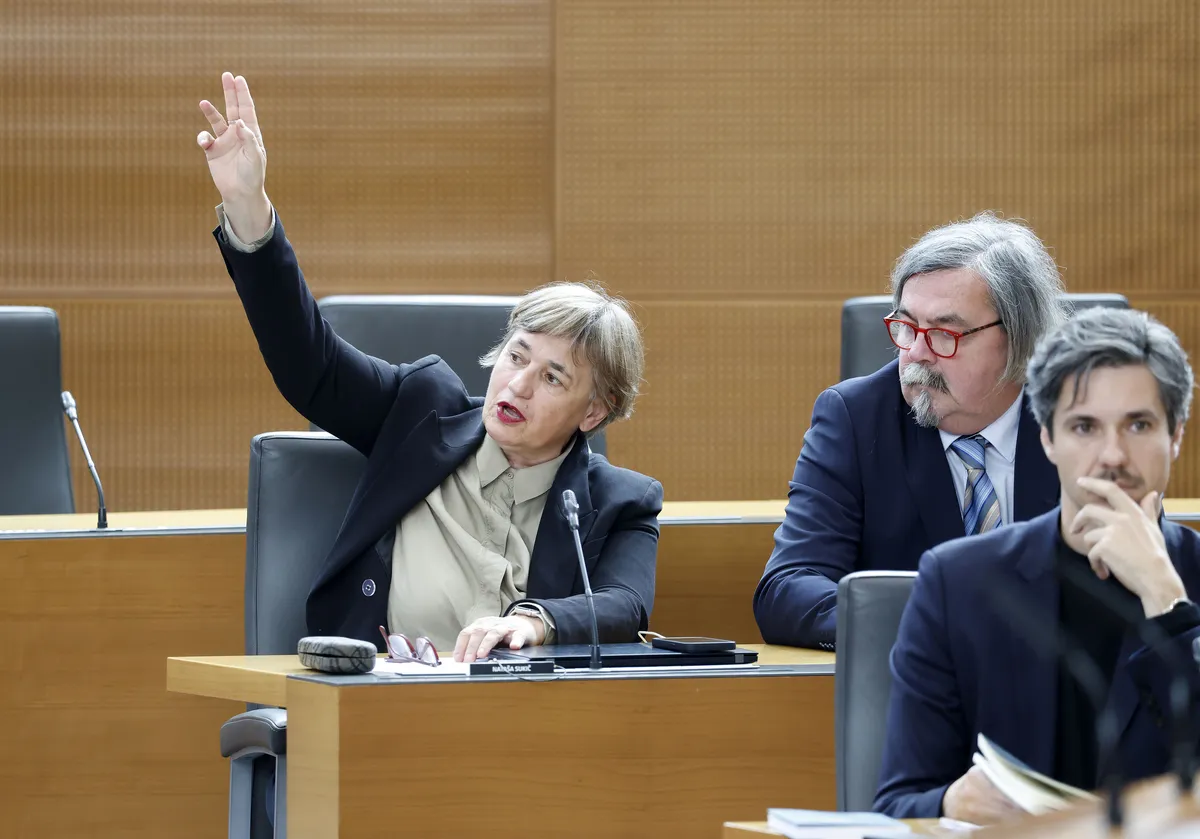 Komentarji Zorana Stevanovića zmotili poslanko Levice Natašo Sukič, vnela se je polemika