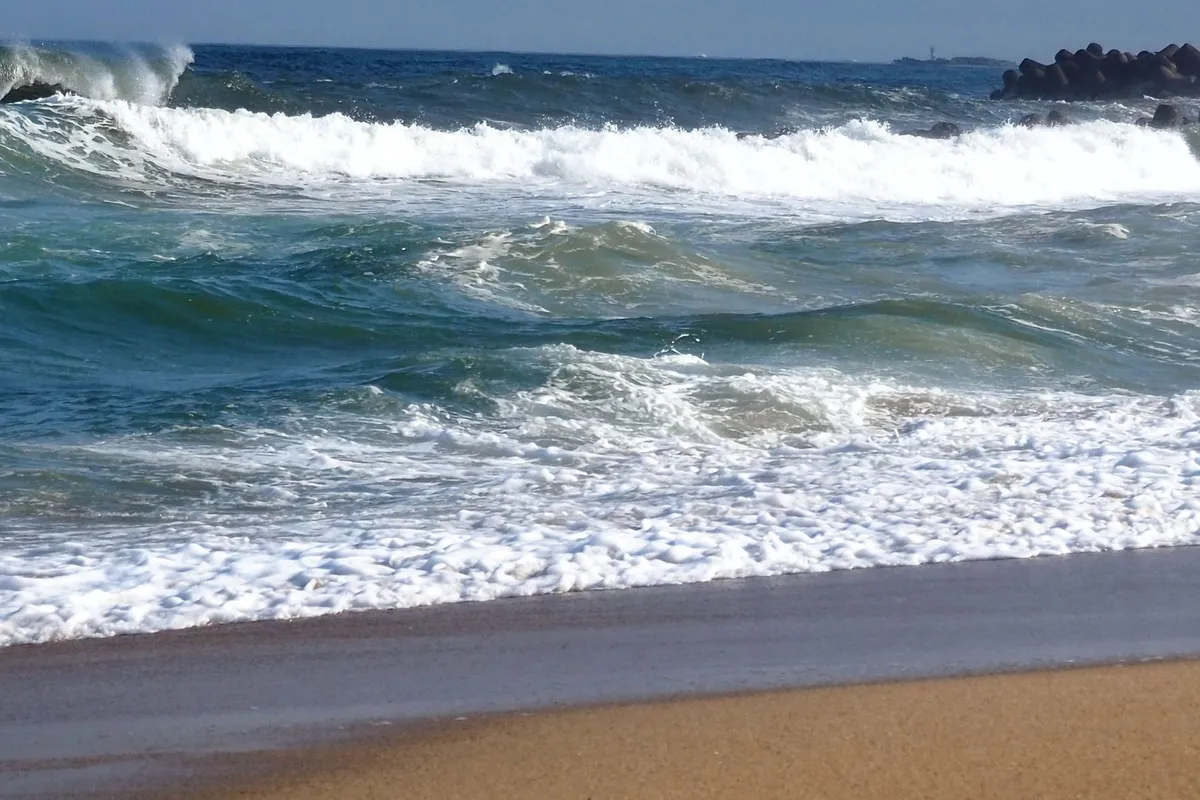 Na plaži opazila naplavljeno igračo, zapis na njej ganil na tisoče ljudi
