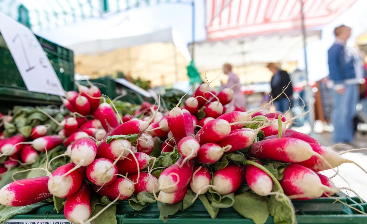 5 živil, ki so po mnenju dietetikov boljša surova
