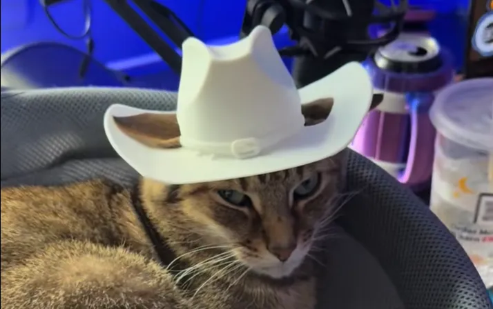 Nenavaden 3D-izdelek navdušil splet: "Vredno računa za elektriko v višini 1.000 dolarjev"