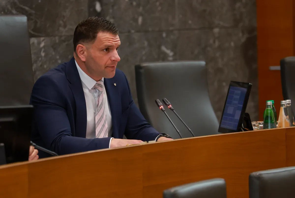 Zakonu o vladi, ki ga predlaga SDS, se obeta podpora, nove polemike med poslanci in Stevanovićem