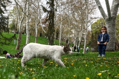 Punčka v parku v Teheranu