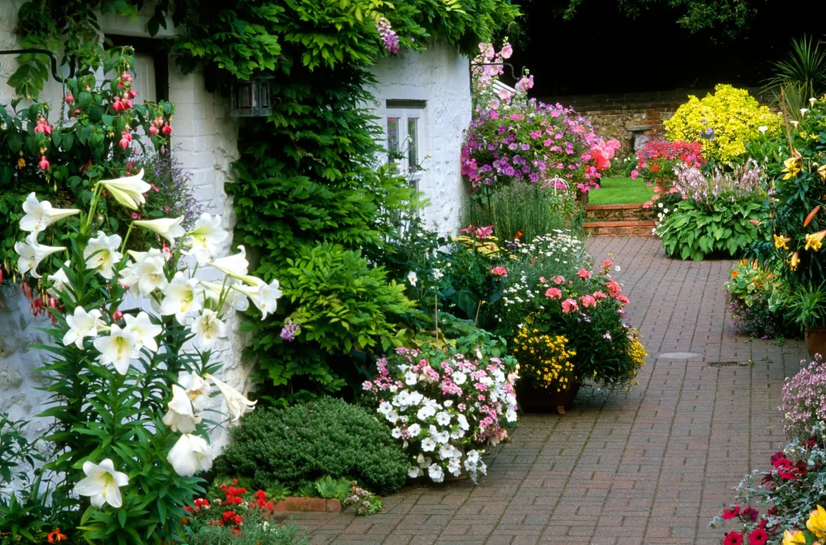 S to preprosto raztopino bodo vaše rože cvetele kot nore in zasijale v vsej svoji lepoti
