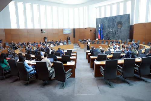 Poslanci, državni zbor, seja