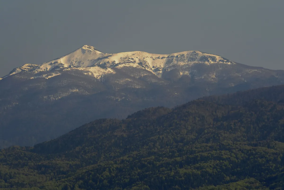 Na vzhodu Snežnika je strmoglavilo jadralno letalo