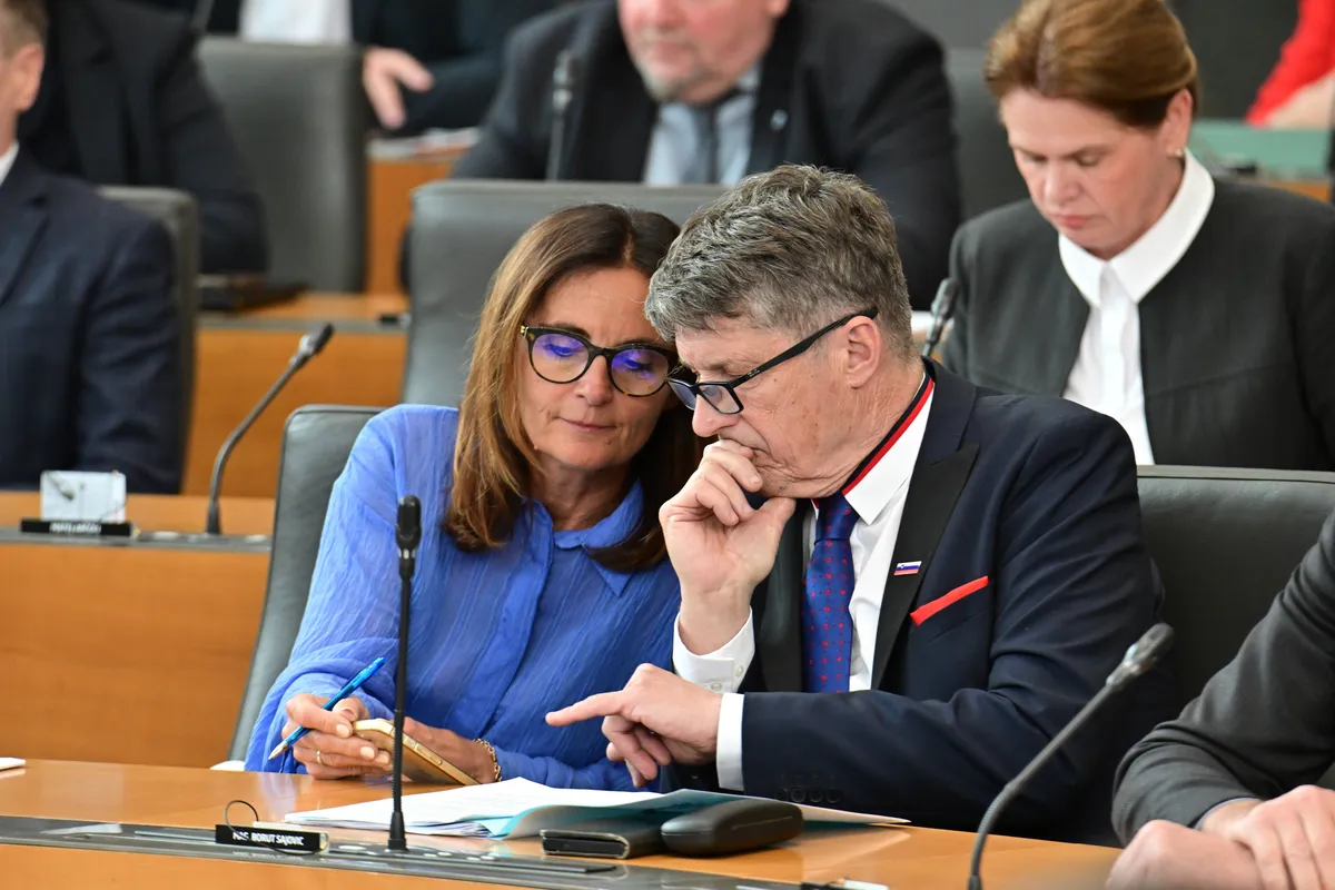 "Prava" opozicija naj bi imela večino v nadzornih komisijah, nasprotuje pa uvrstitvi Resnice v opozicijo