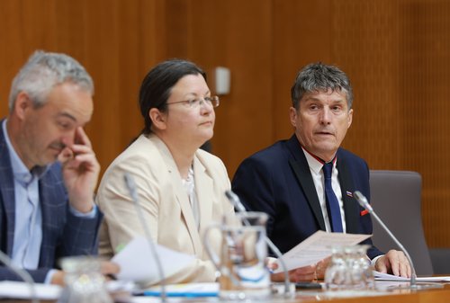 Janez Cigler Kralj, Katja Kokot in Borut Sajovic