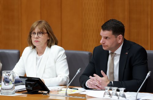 Uršula Tavčar Zore in Zoran Stevanović