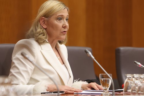 Kandidat za ministra za kulturo Ignacije Fridl Jarc
