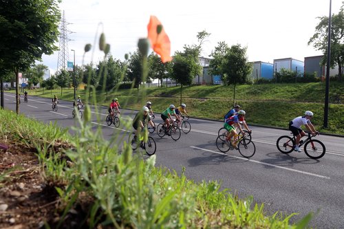Maraton franja