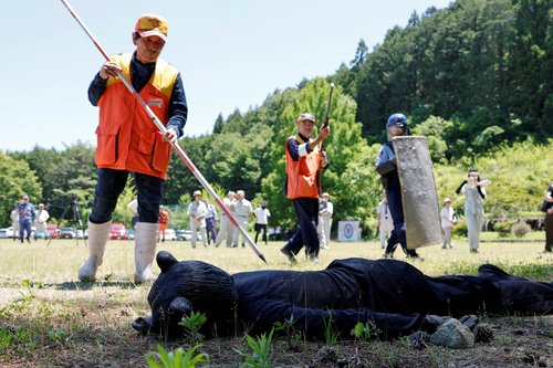 Usposabljanje za primer srečanja s medvedom na Japonskem