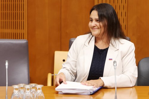 Suzana Lep Šimenko