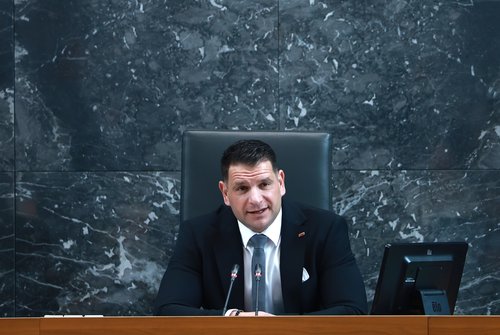 Zoran Stevanović v DZ