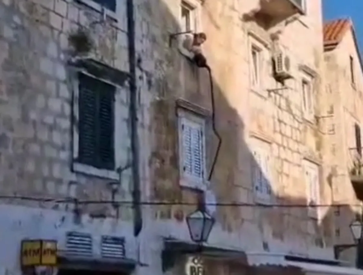 Dalmatinka za reševanje perila ubrala nenavadno metodo, njen podvig navdušil mimoidoče (VIDEO)