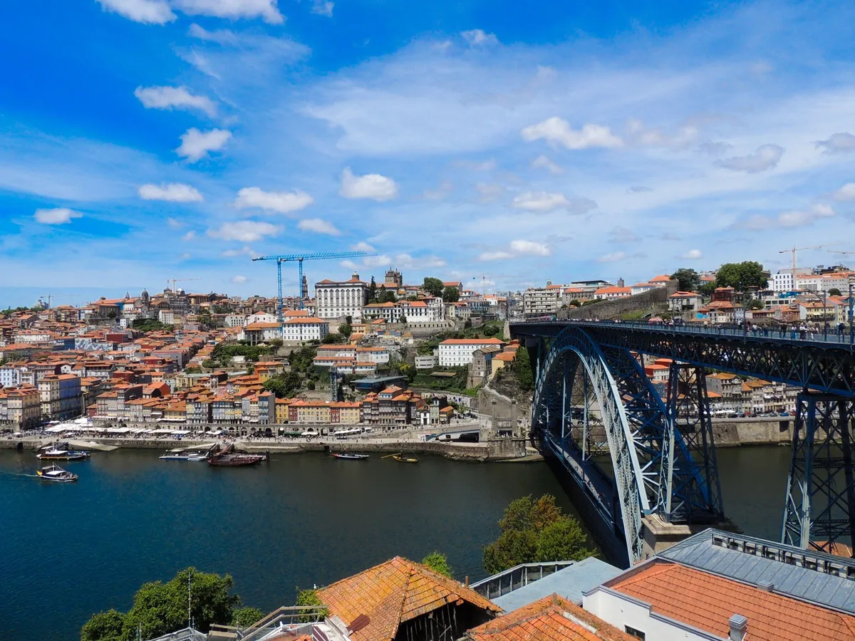 Na Portugalskem odkrili novo vrsto strupenega pajka