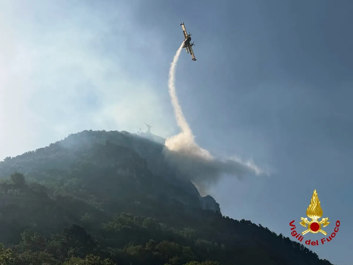 Preiskovalci niso mogli verjeti: mačke so spustili v naravo, kjer so tekle in netile požare