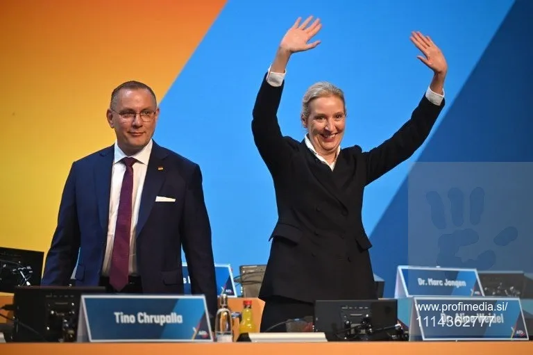 Skrajno desna AFD naprej z dosedanjim vodstvom