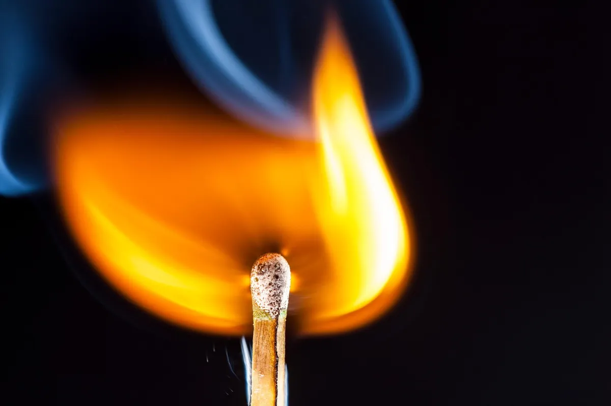 Čarobna privlačnost ognja: zakaj se ga živali bojijo, človeka pa skoraj hipnotizira