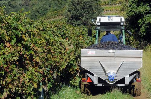 Traktor med trto
