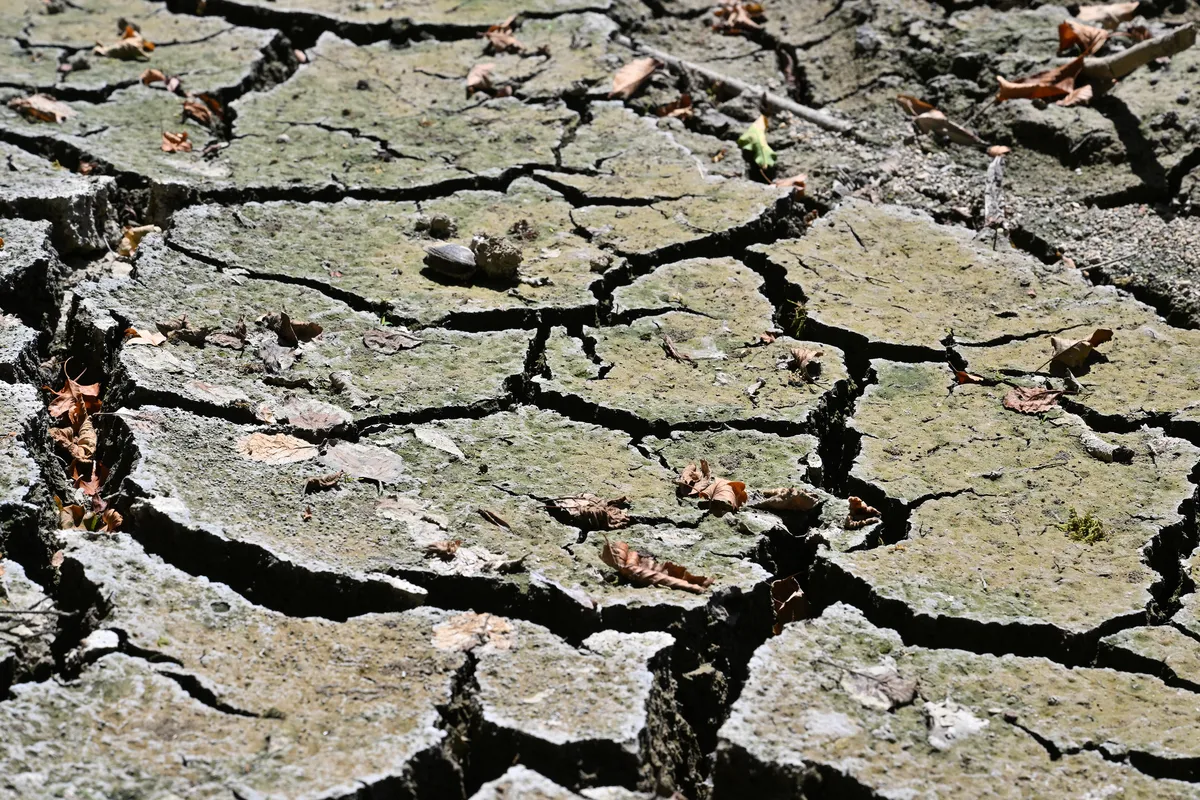 Klimatologinja za N1: "Teh pojavov ne moremo več obravnavati kot redke ekstremne nesreče"
