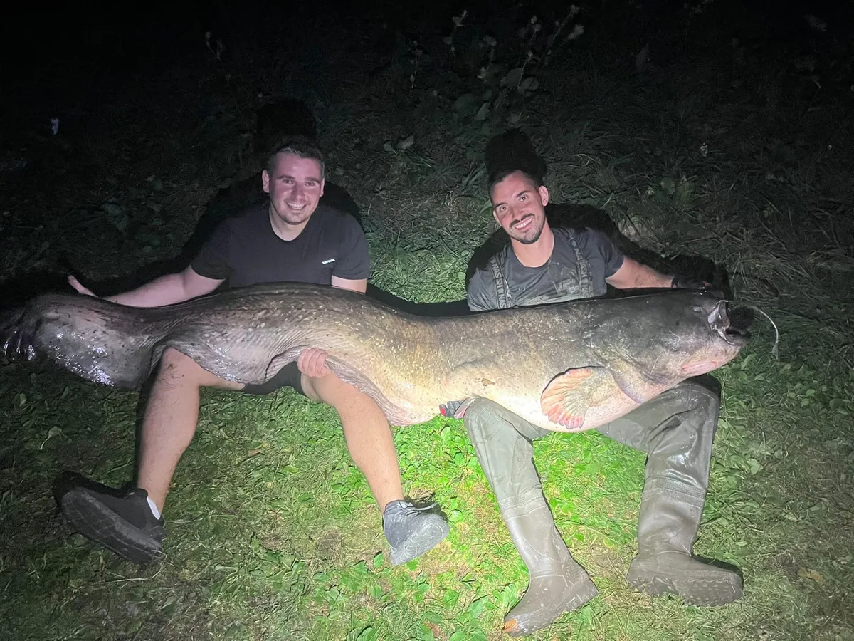 Po uri in pol boja iz Škalskega jezera potegnil rekordnega soma: "Ulov mojega življenja"