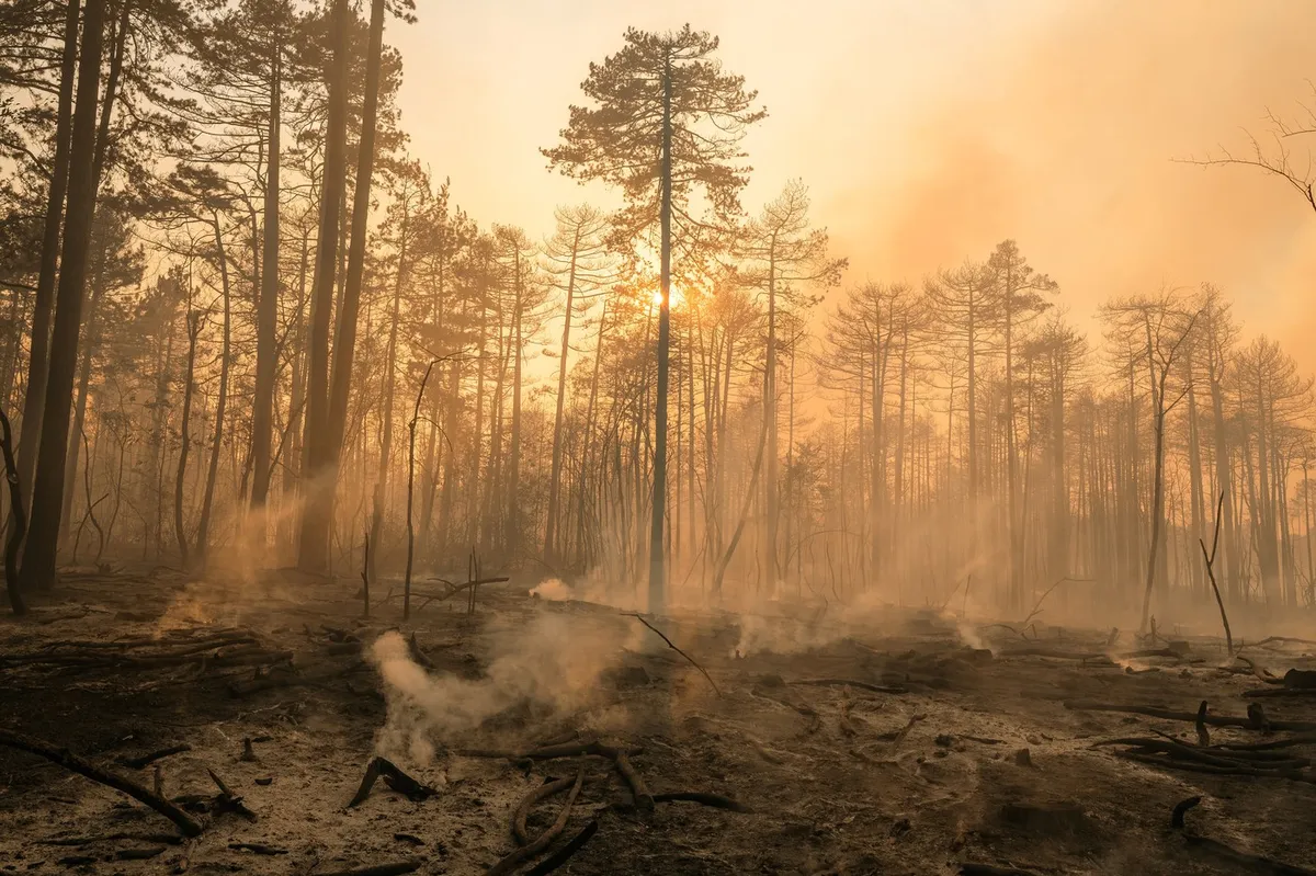 Požari divjajo po Srbiji, država za pomoč zaprosila Evropsko unijo