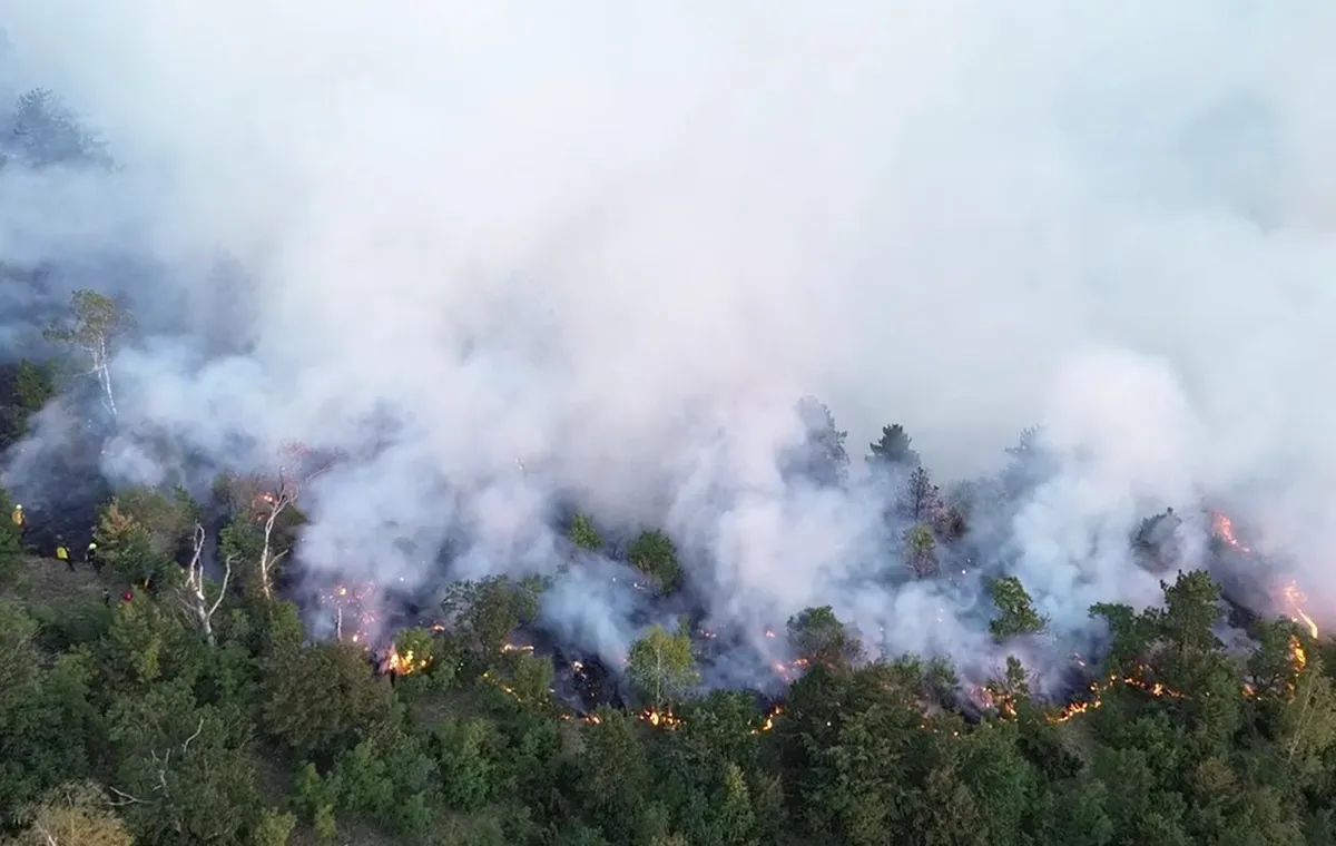 Balkan v ognjenem primežu, gasilci se borijo z več deset požari