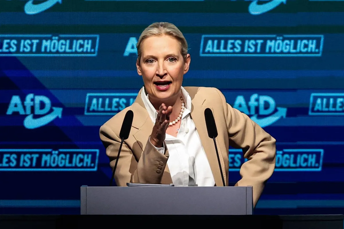 Načrti AfD: Pot do nemške marke in zaprtih meja, ki bi pretresla Evropo in Slovenijo