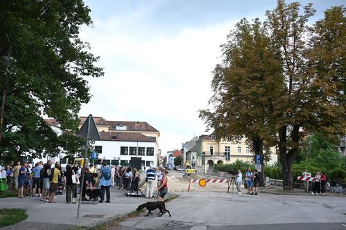 protest zaradi poseka dreves v Mariboru