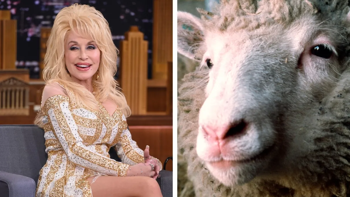 Kako je bila Dolly Parton povezana z najbolj slavno ovco na svetu?