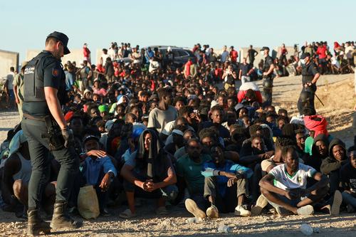 migranti
